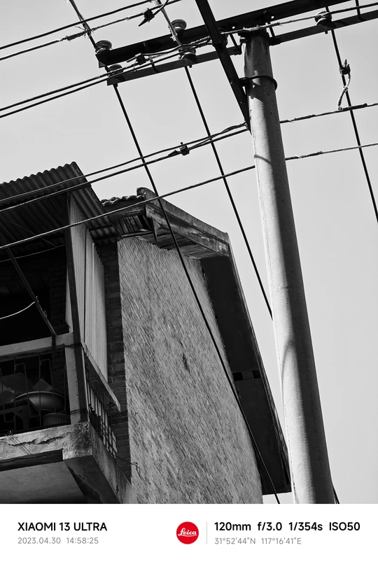 古老的建筑和带鸟的电线