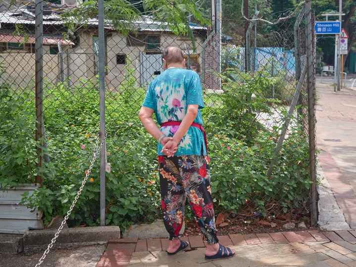 赏花
