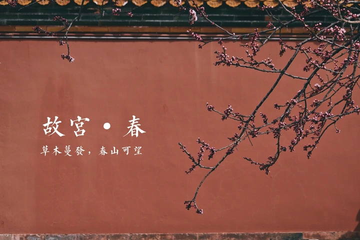 草木蔓发，春山可望。