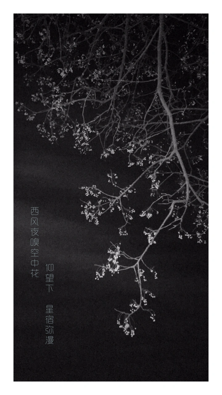 希望就是抬头看到美好