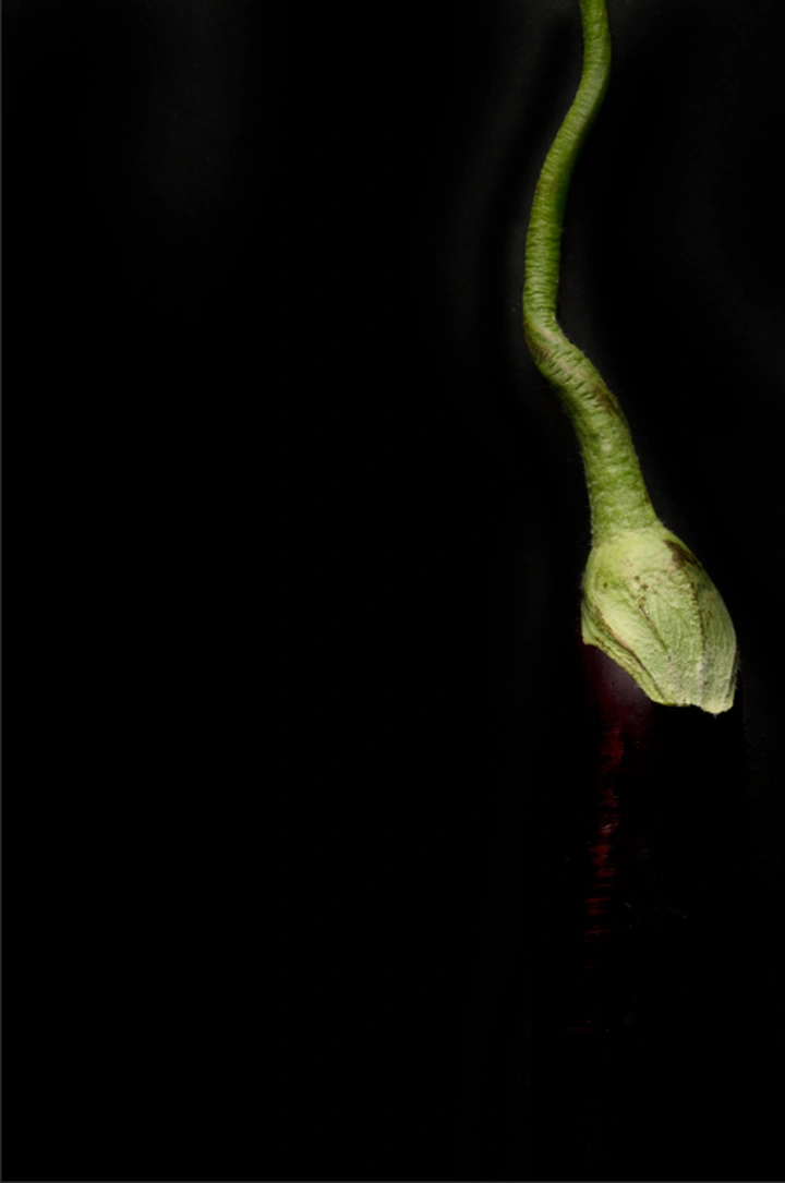 茄子🍆