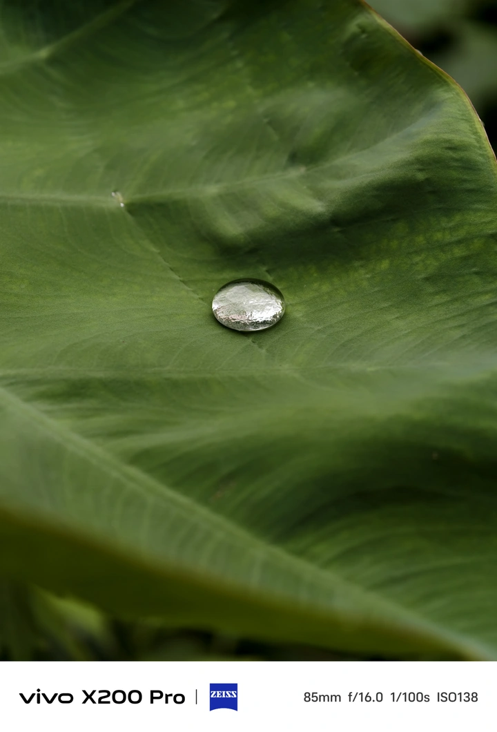 而我听见下雨的声音