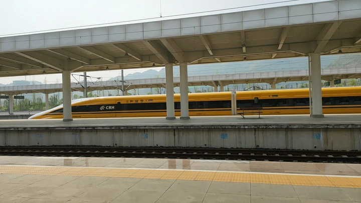 黄医生