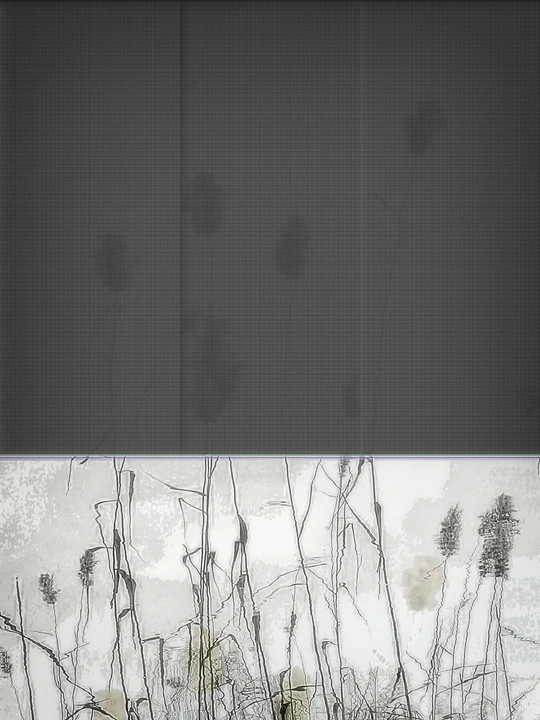 一片水田中的高草和杂草的景象