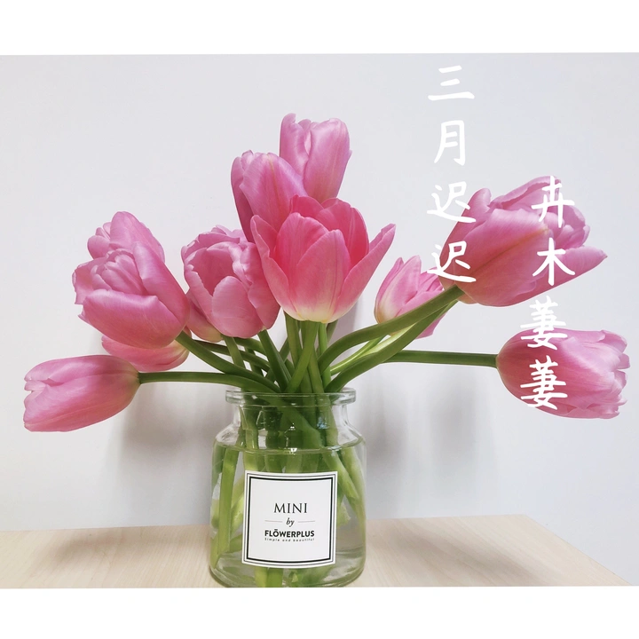 等