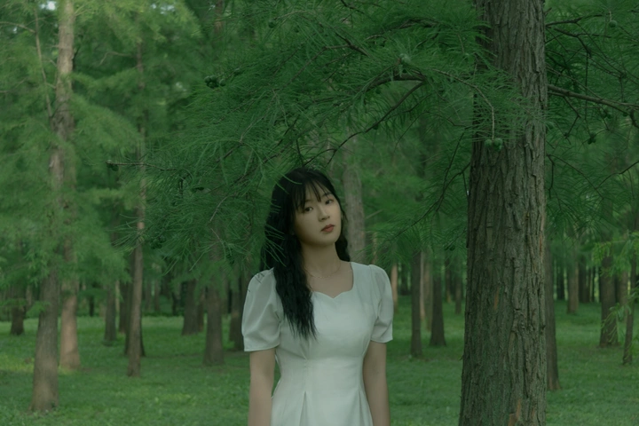 绿光森林/