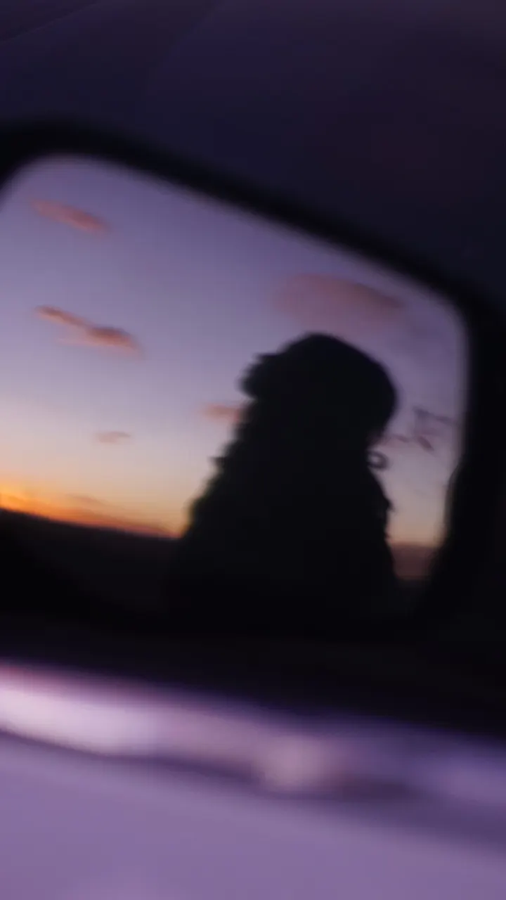 她的自由黄昏🌅壁纸