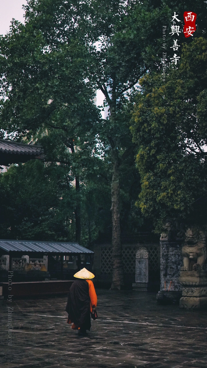 也无风雨也无晴
