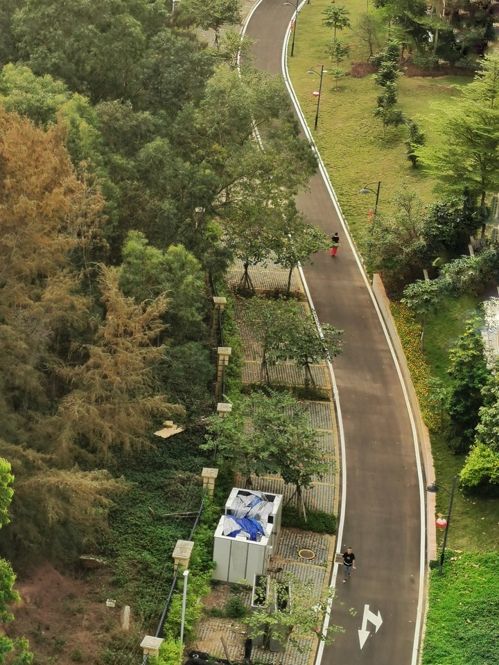 路