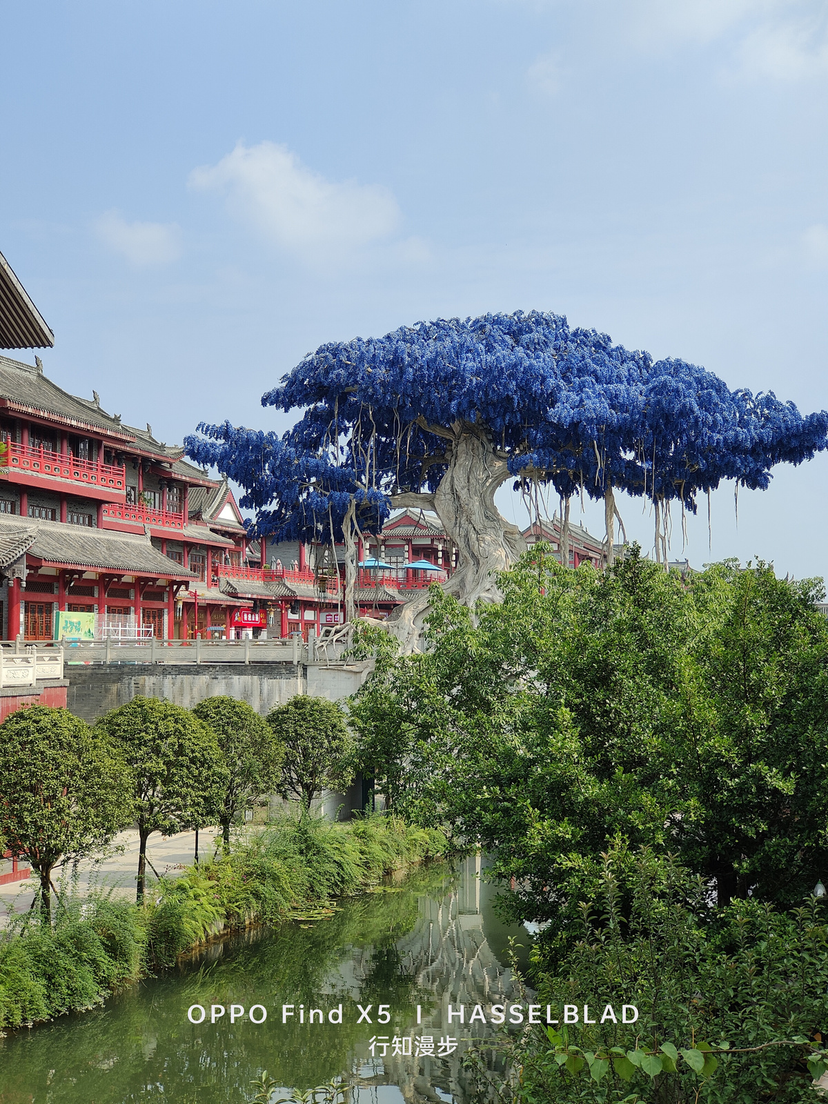 一座红色建筑前的一棵开着蓝色花朵的树