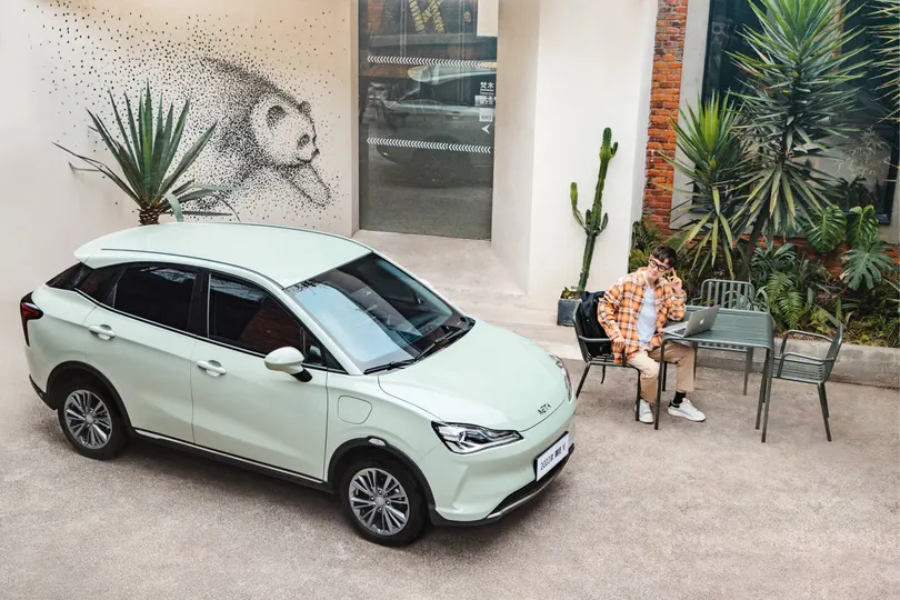 站在一辆停在植物旁边的小汽车旁边的人