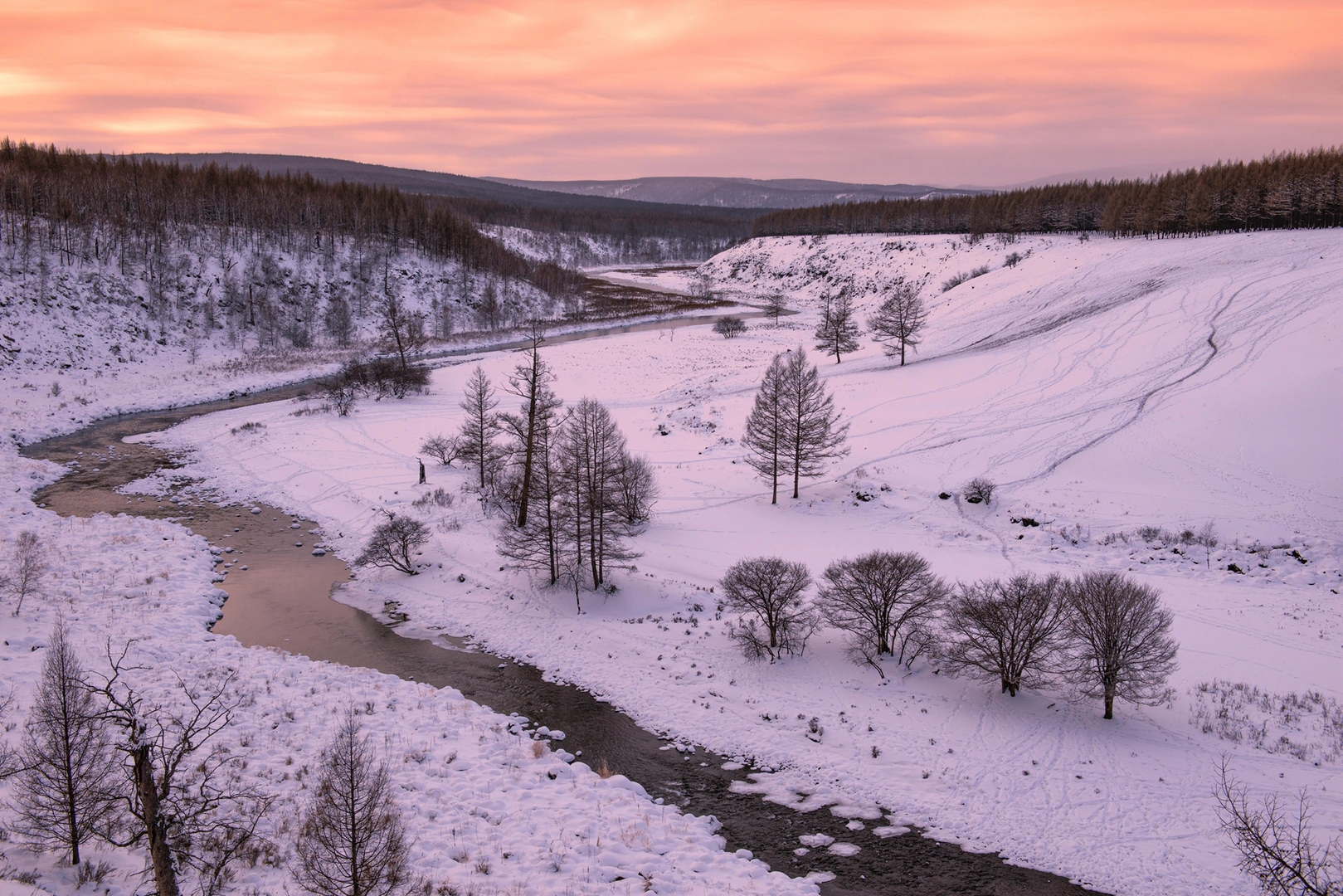 雪景 有树木、小溪和夕阳下的雪地