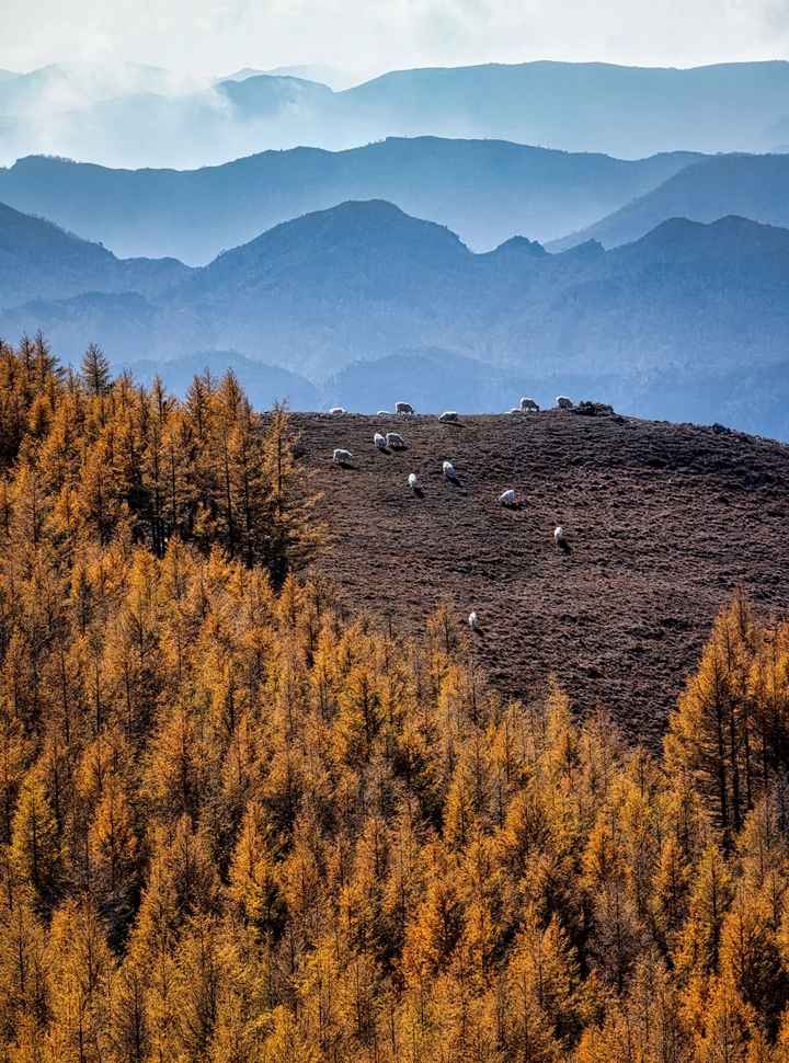 咫尺阴山