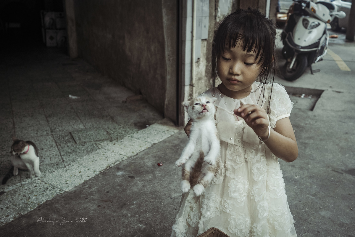 一个穿着白裙子的年轻女孩在一条小巷子里手里抱着一只小猫