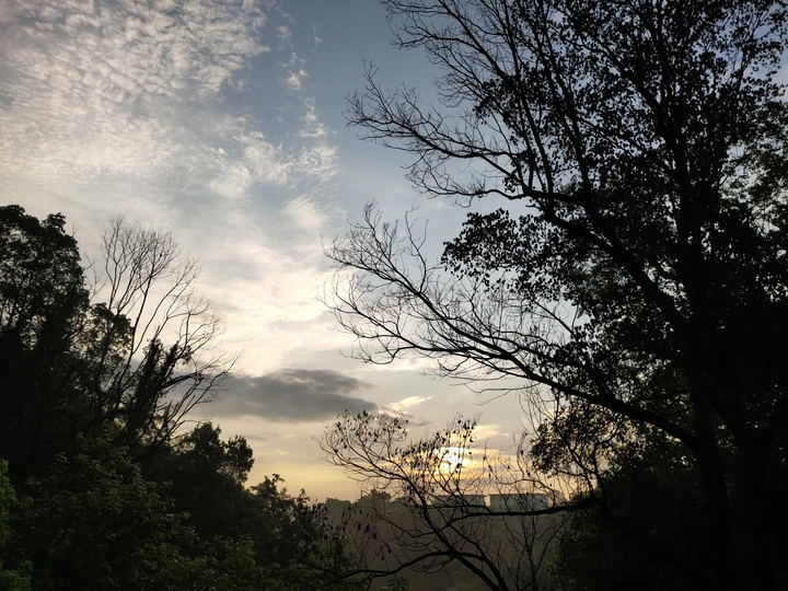 晨曦