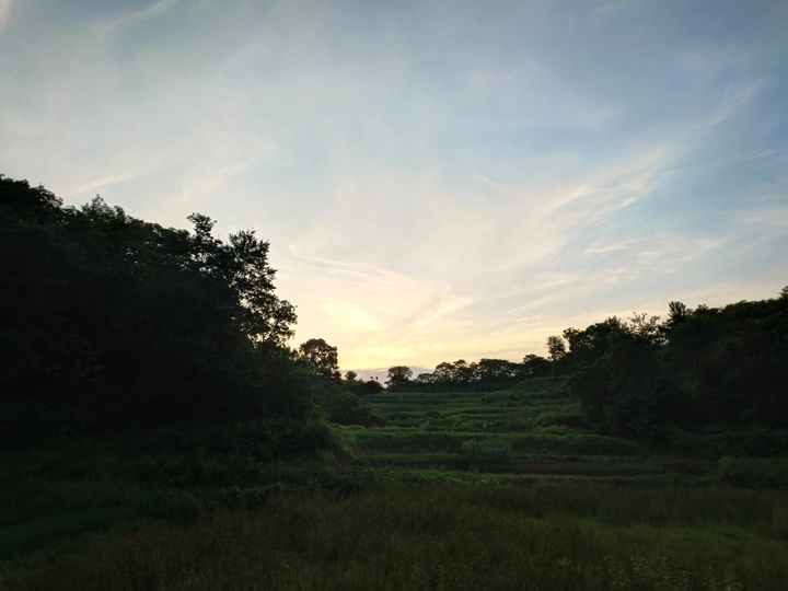 早晨的阳光