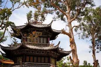 它前面的是一座佛塔 后面有一棵树。