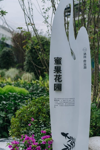花园里有花草的冲浪板雕塑