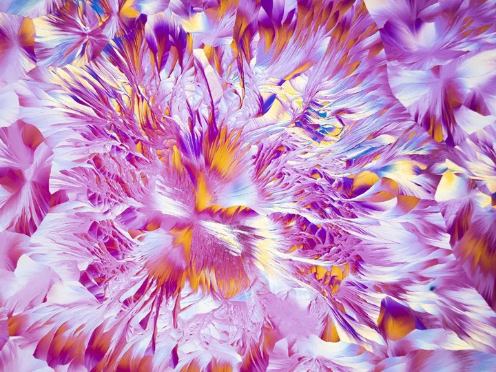 紫色、粉色和黄色的彩色花朵的抽象分形图像