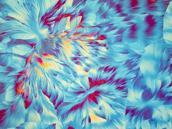 蓝色和红色调的彩色花卉设计计算机生成的图像