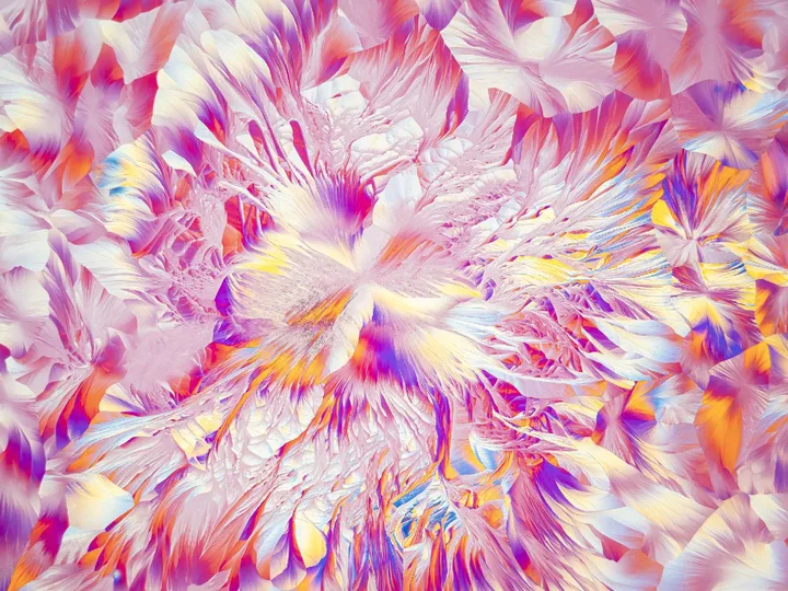 计算机生成的抽象设计图案 带有彩色花朵的图像