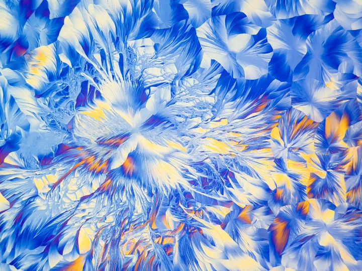 计算机生成的带有蓝色花朵的花卉图案图像