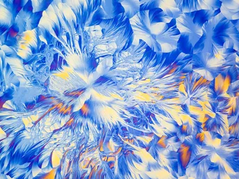 计算机生成的带有蓝色花朵的花卉图案图像