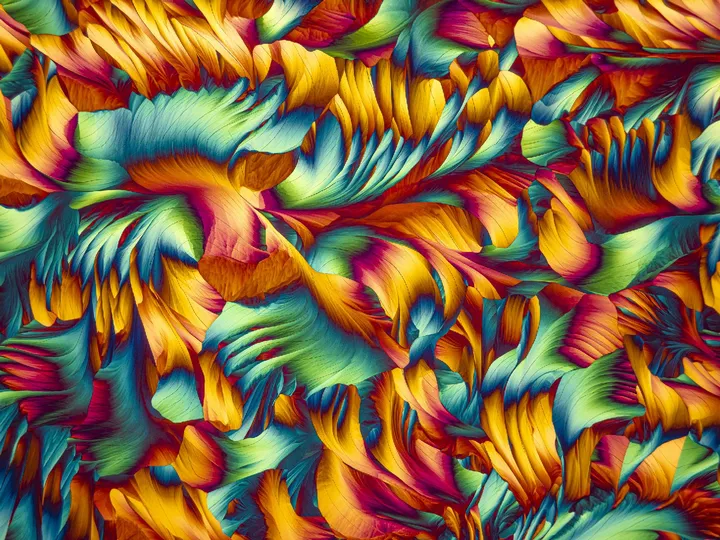 鲜艳色彩的抽象花设计