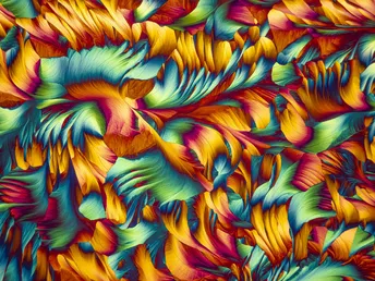 鲜艳色彩的抽象花设计