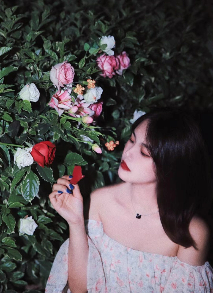 玫瑰与少女