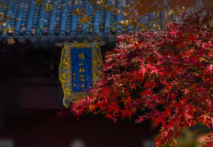 栖霞寺秋色