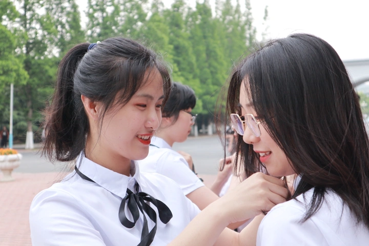 再见
