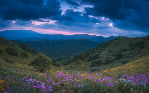在前景有野花山谷和背景有山丘和山脉 紫色天空下有云朵的背景下。
