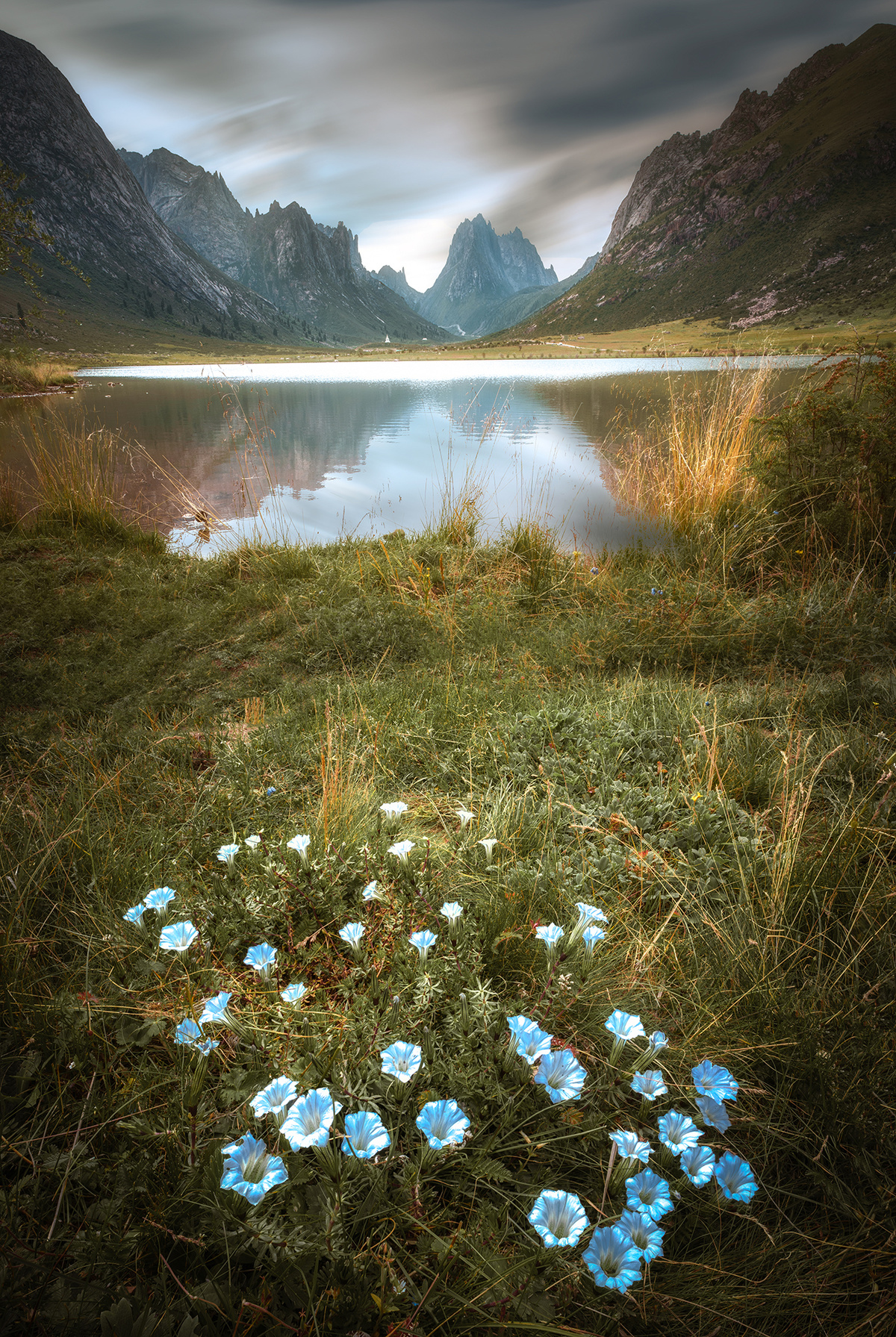 湖边山上的草丛中开满了蓝色花朵