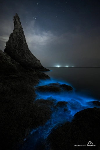 夜晚的海滩 满月和星空在天空中 前景是岩石和水体。