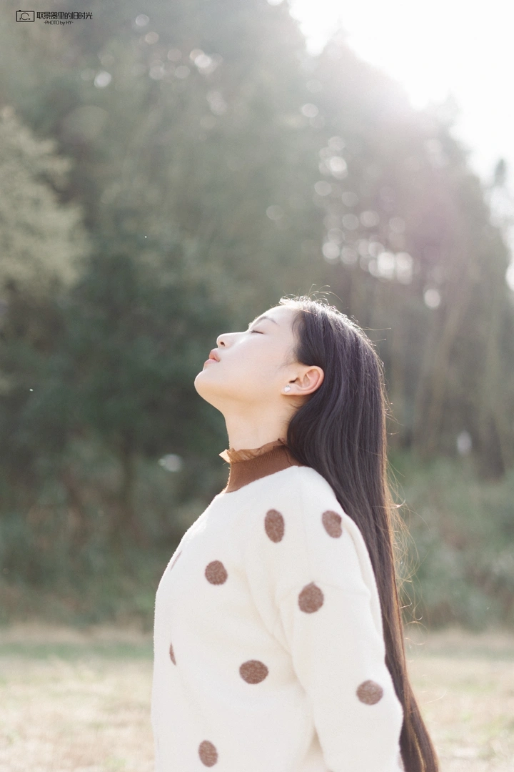 少女情怀总是诗