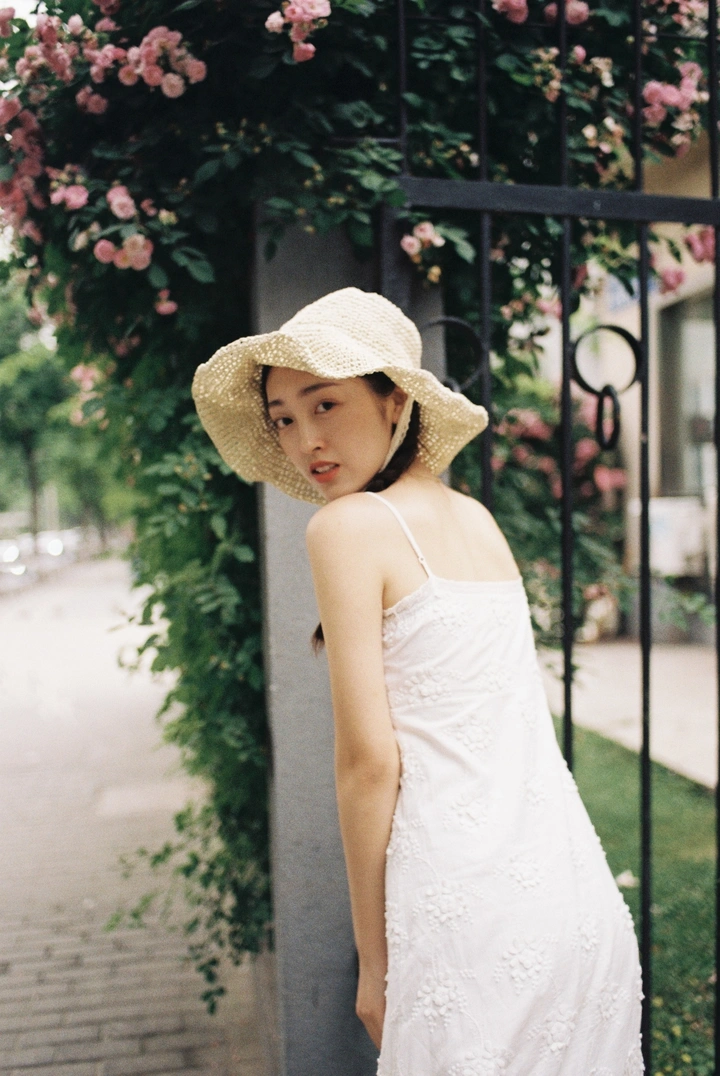 少女情怀总是诗
