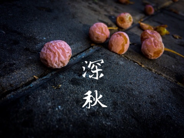 深秋的果实