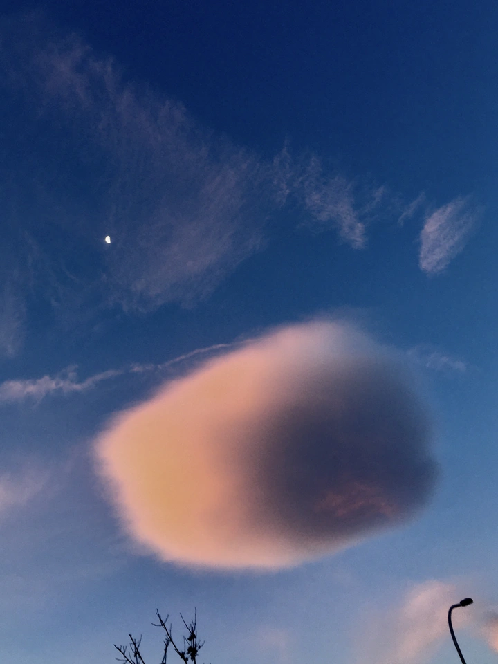 棉花糖