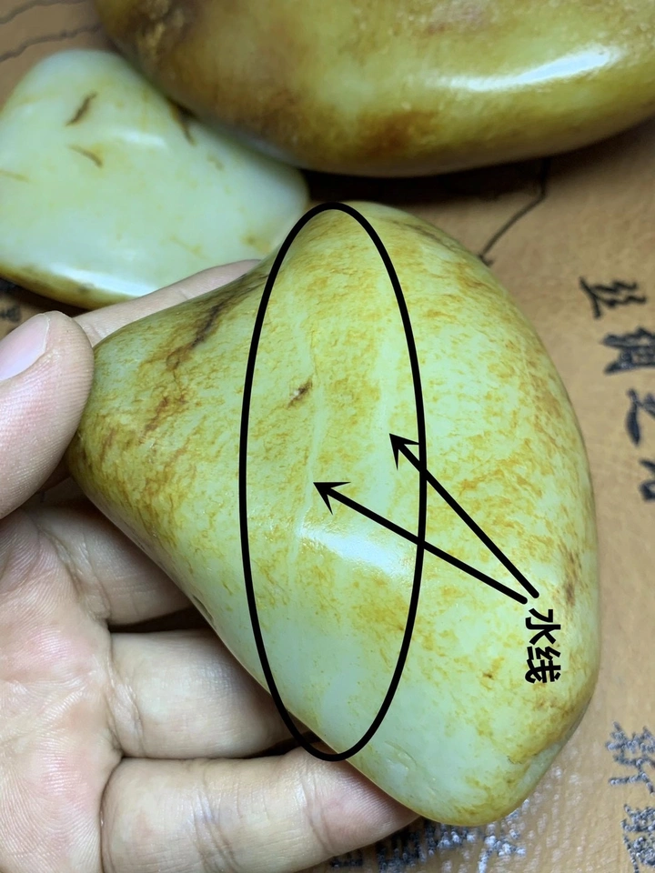 水线和玉筋有什么区别