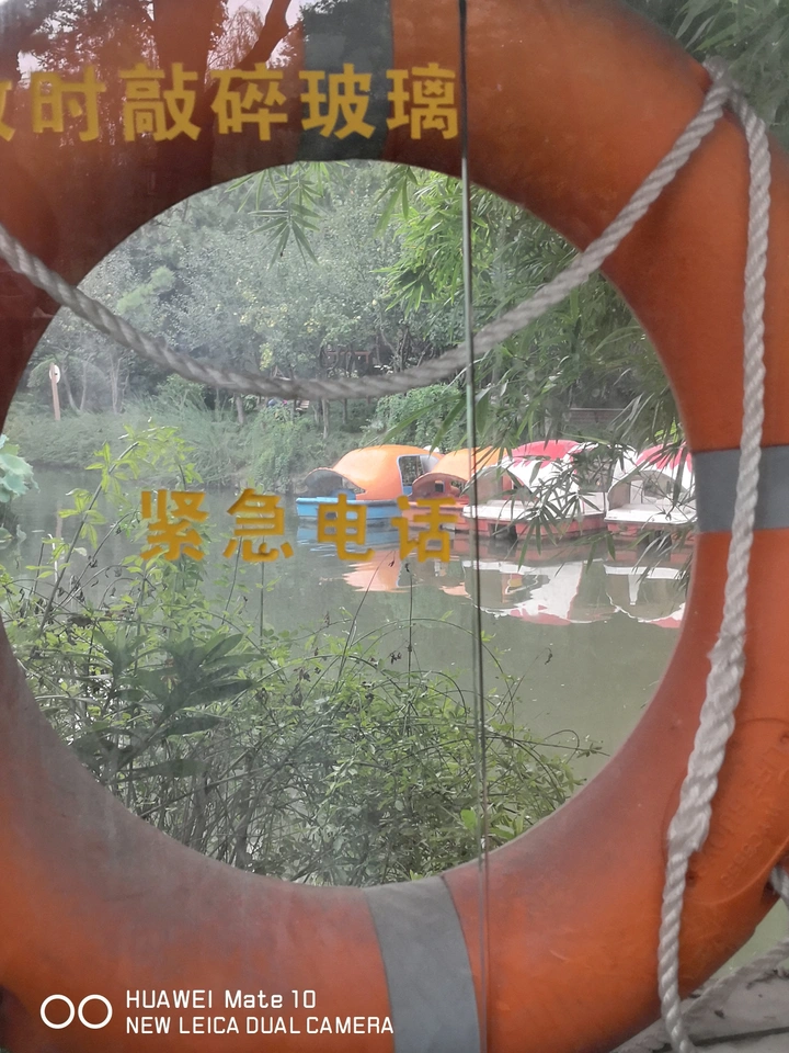 镜中缘