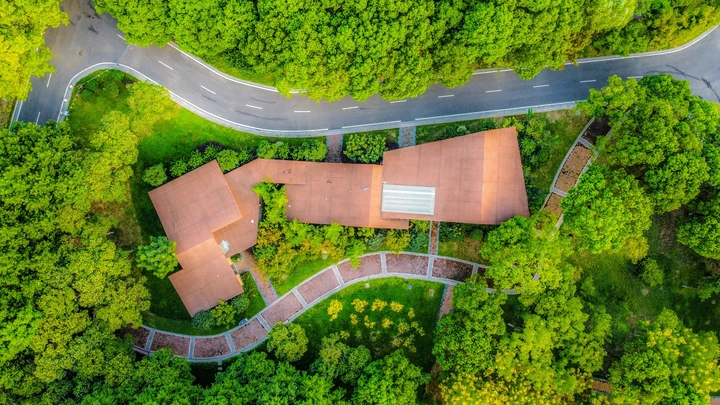 江阴花鸟市场永安公园