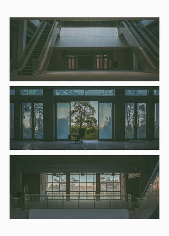 窗户里有棵树的大房间