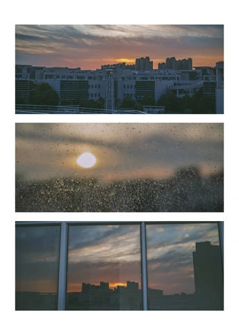 一张窗户的照片 上面有日落或日出的照片 还有一张城市的照片