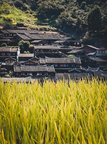 一个有传统建筑和草地的乡村