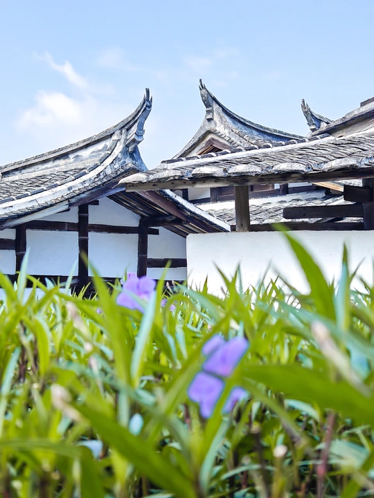 前面有白色建筑和蓝色屋顶的绿色草地和紫色花