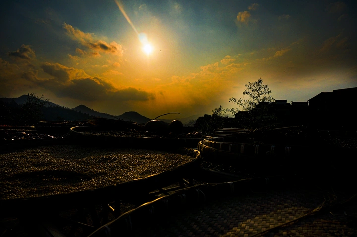 夕阳