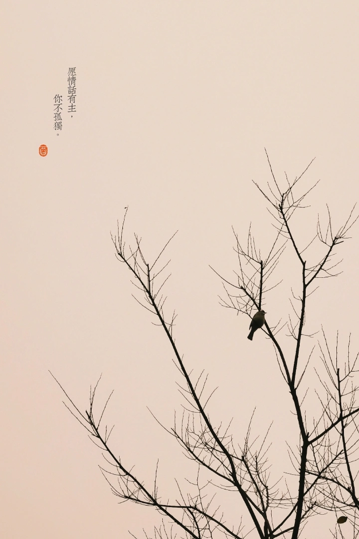 新年第一天，雨。手机随拍小景