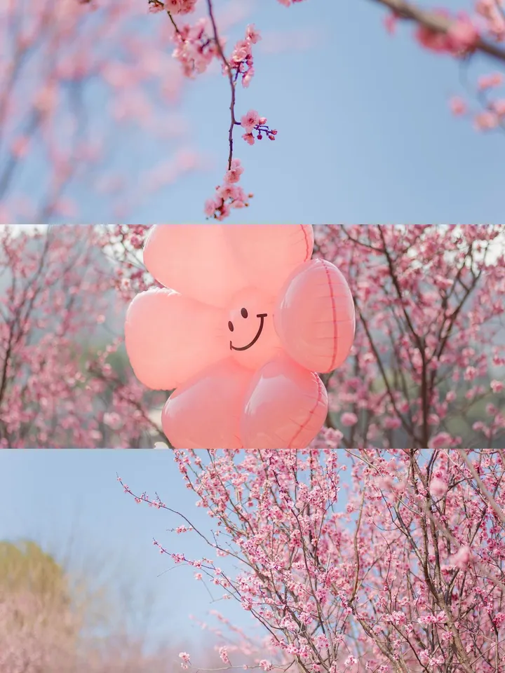 你好春天