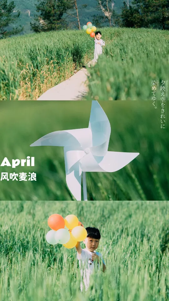 一个小男孩在草地上有一只风筝。